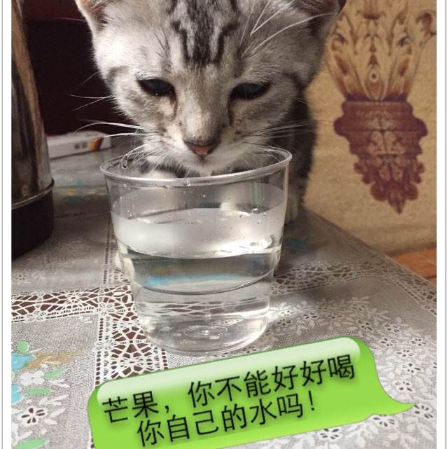学历证书电子备案表在哪里下载
